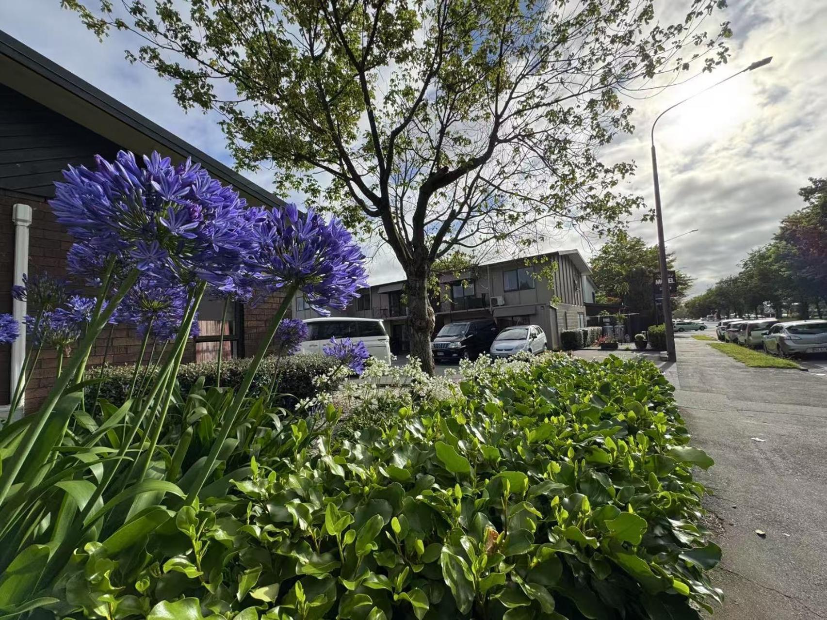 Abbey Motor Lodge Christchurch Exterior photo